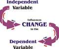 Image: Independent variable