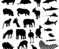 Image: Animalia