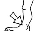 Image: ankle