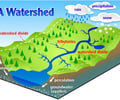 Image: Watershed
