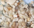 Image: sediment