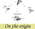 Image: Origin of Species