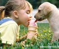 Image: shares