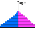 Image: Population Pyramid