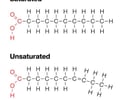 Image: Lipid