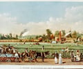 Image: Plantation