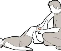 Image: caring for serious wounds with severe bleeding