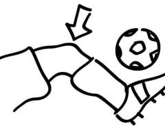 Image: knee