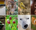 Image: Biodiversity