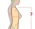 Image: ventral cavity