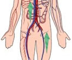 Image: signs of circulation