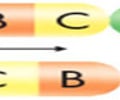 Image: inversion chromosomal mutation