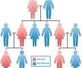 Image: heredity
