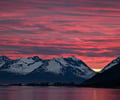 Image: Midnight Sun