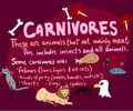 Image: Carnivore