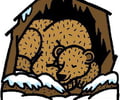 Image: Hibernate