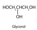 Image: What are trihydroxy alcohols?