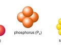 Image: Define polyatomic