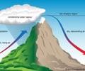 Image: Leeward