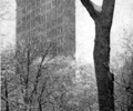 Image: "the flat iron building" alfred stieglitz