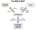 Image: The mole map