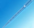 Image: transfer pipet (plastic)
