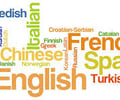 Image: language