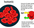 Image: Isotonic