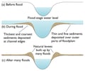 Image: Natural Levees