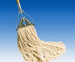 Image: Wet Mop
