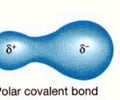 Image: Define a polar covalent bond