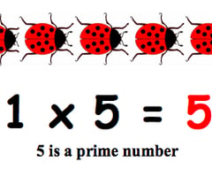 Image: What are prime numbers?