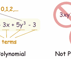 Image: What is a polynomial?