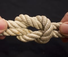 Image: Reef Knot